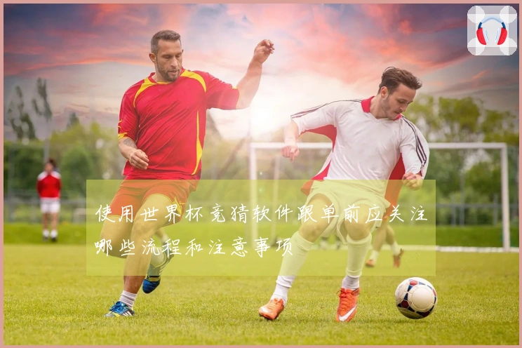 使用世界杯竞猜软件跟单前应关注哪些流程和注意事项