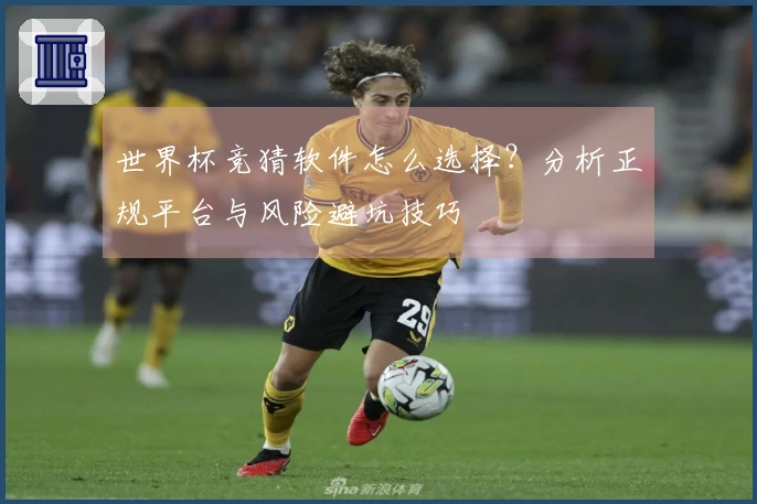 世界杯竞猜软件怎么选择？分析正规平台与风险避坑技巧